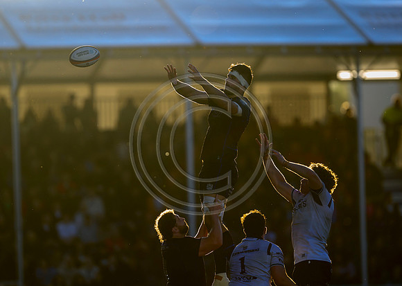 Warriors v Connacht