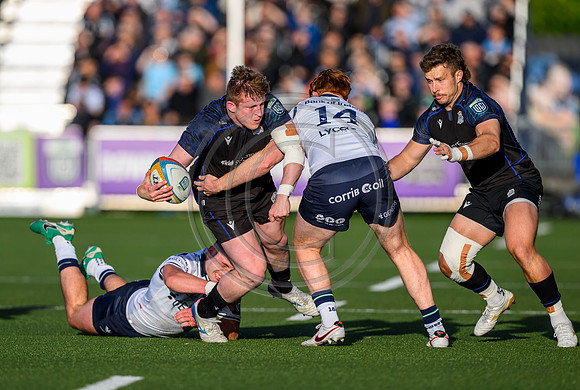 Warriors v Connacht