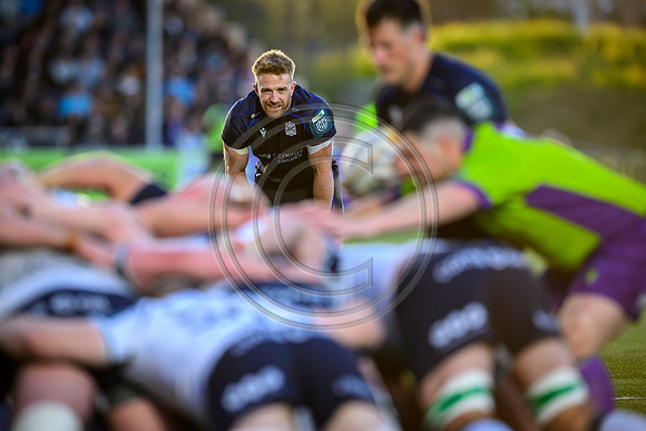 Warriors v Connacht