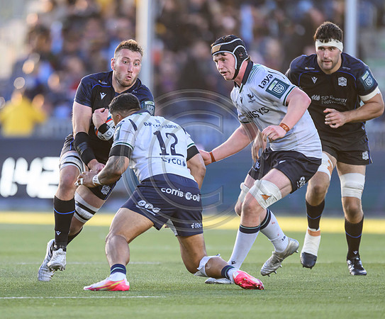 Warriors v Connacht