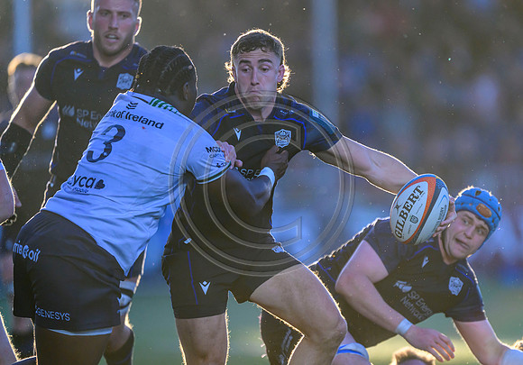 Warriors v Connacht