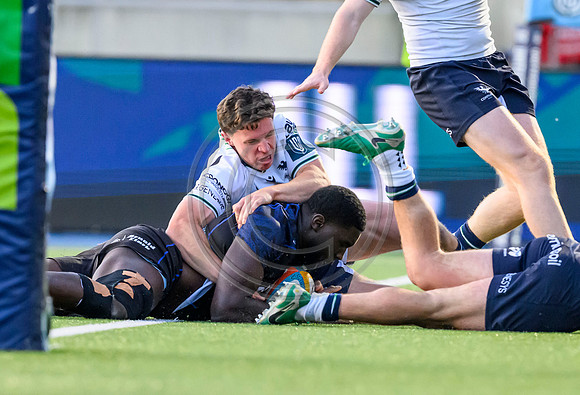 Warriors v Connacht