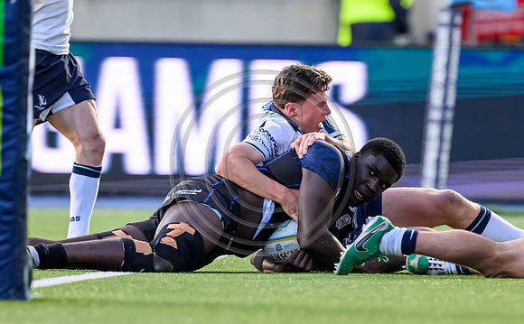 Warriors v Connacht