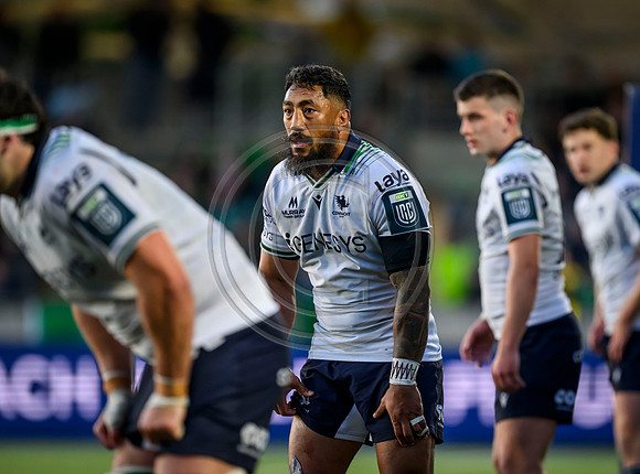 Warriors v Connacht
