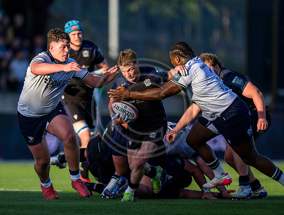Warriors v Connacht