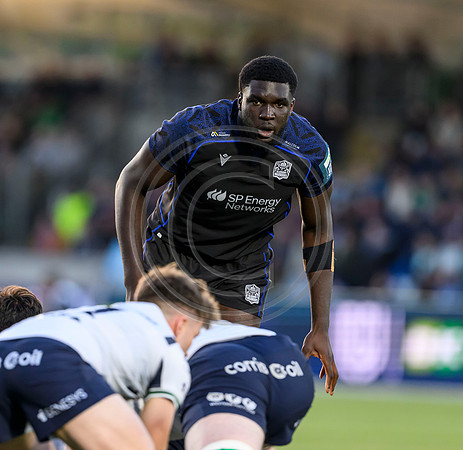 Warriors v Connacht