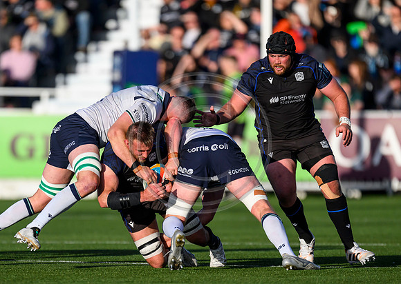 Warriors v Connacht