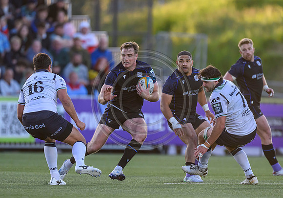 Warriors v Connacht