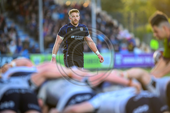Warriors v Connacht