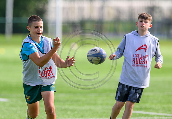 Accelerate Rugby