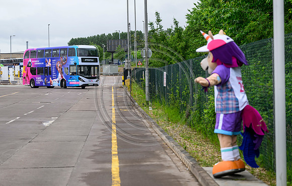 Finnie Bus