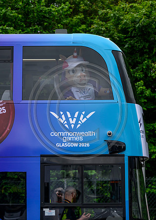 Finnie Bus