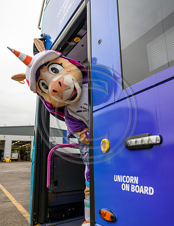 Finnie Bus