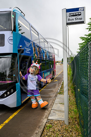 Finnie Bus