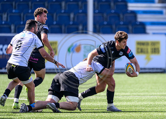 Glasgow Warriors v Black Lions