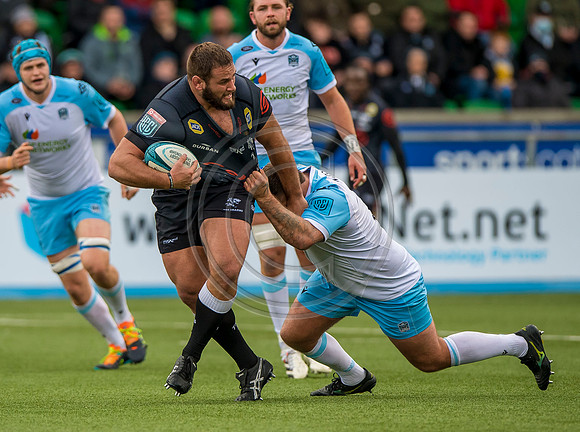 Warriors v Sharks