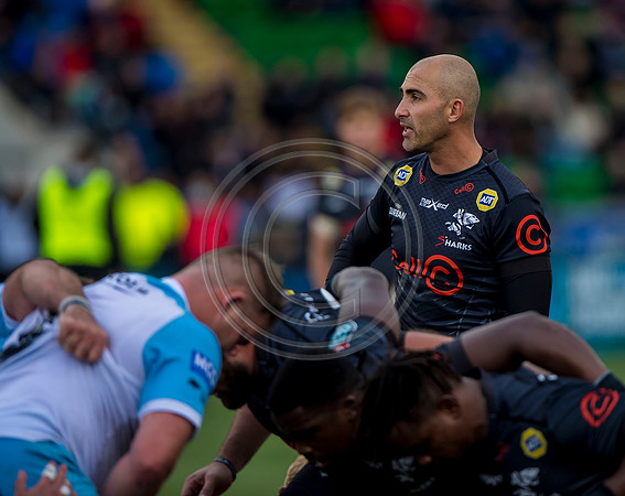 Warriors v Sharks