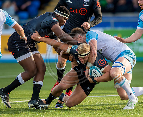 Warriors v Sharks