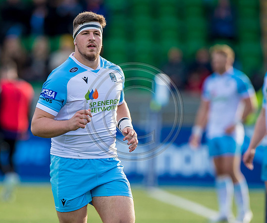 Warriors v Sharks