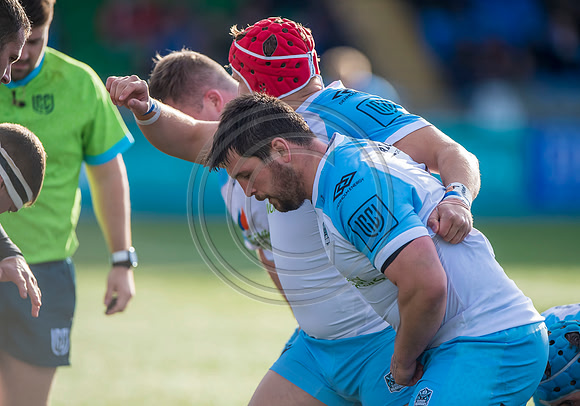 Warriors v Sharks