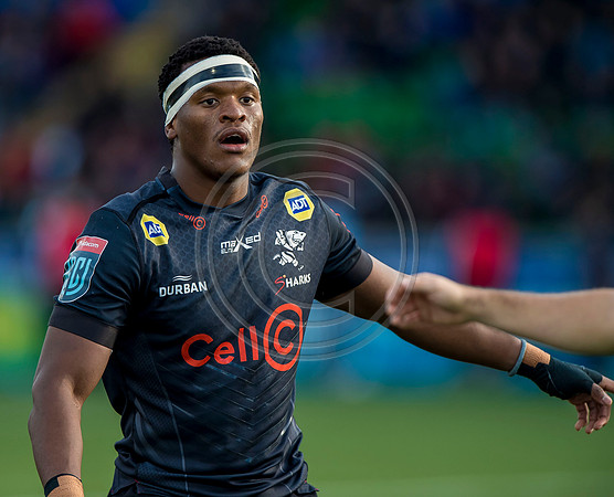 Warriors v Sharks