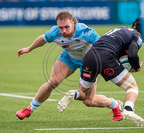 Warriors v Sharks