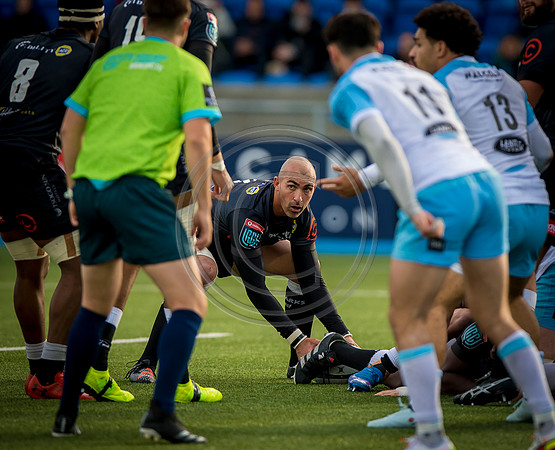 Warriors v Sharks
