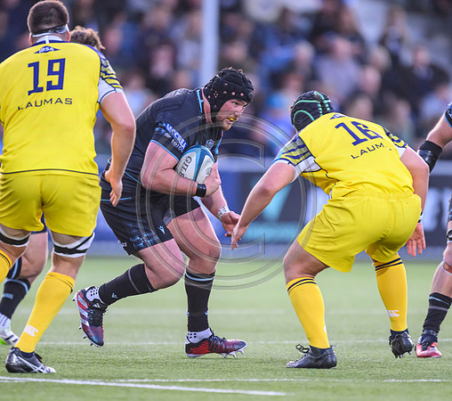 Warriors v Zebre