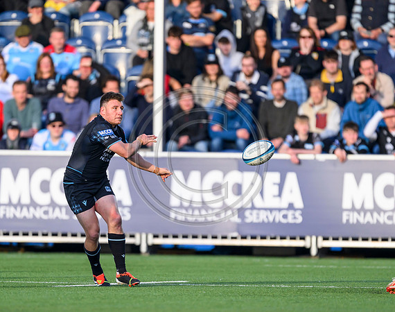 Warriors v Zebre