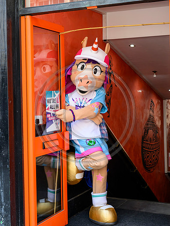Finnie at Central Station