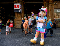 Finnie at Central Station