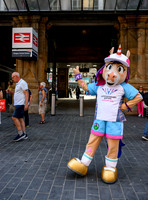 Finnie at Central Station