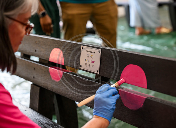 Glasgow 2026 SAMH bench painting