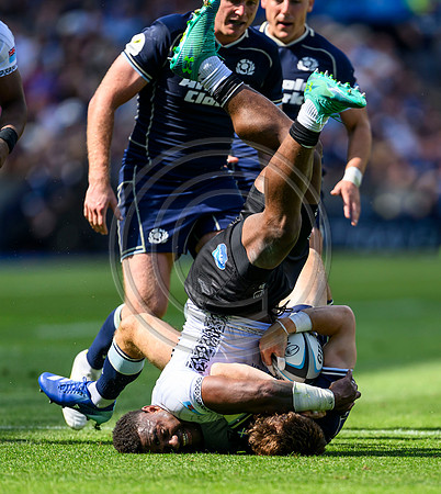 Fiji v Scotland