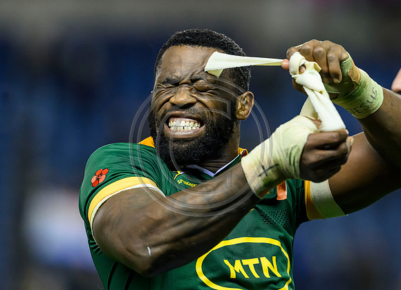 Scotland v South Africa