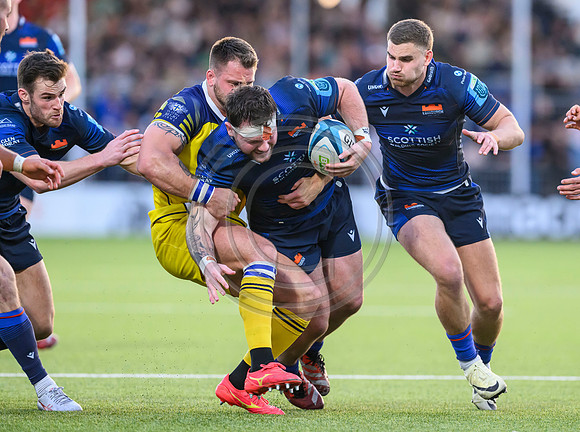Edinburgh v Zebre