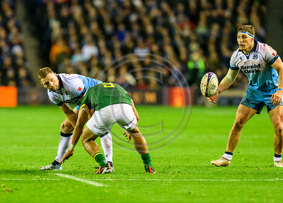 Scotland v South Africa