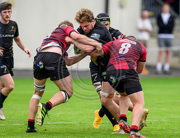 Hawks v Currie