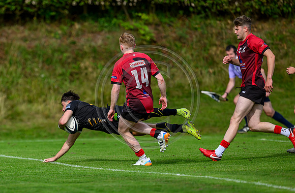 Hawks v Currie