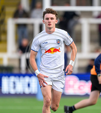 Newcastle Red Bulls v Warriors