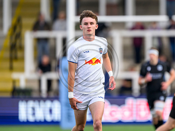 Newcastle Red Bulls v Warriors