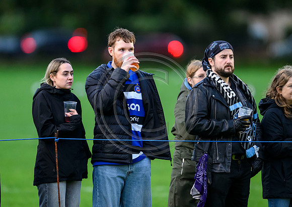 Glasgow Warriors v Bath