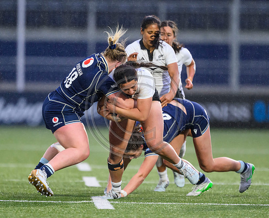 Scotland v Black Ferns