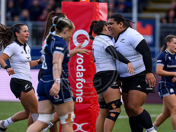 Scotland v New Zealand
