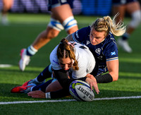 Scotland v New Zealand