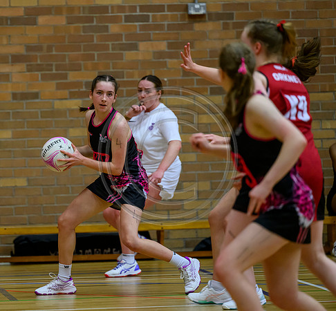 Netball District Finals