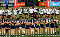 Scotland v New Zealand