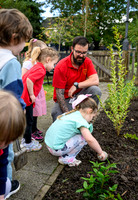 Planting Roots campaign