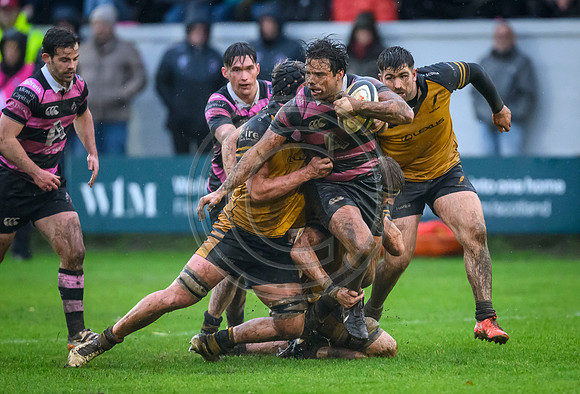 Ayr v Currie