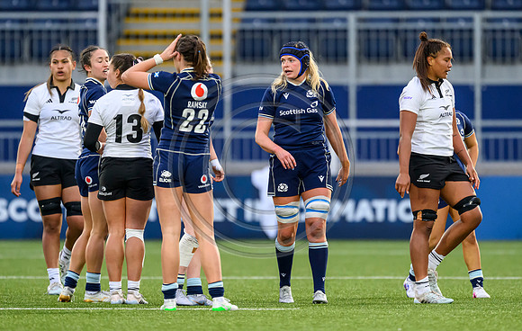Scotland v New Zealand